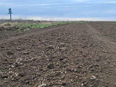 Оголошено 37 аукціонів на розмінування на понад 760 млн грн угідь