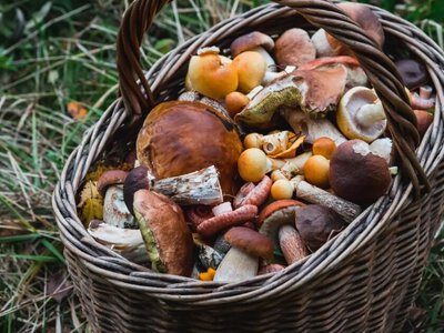 Швидкий рецепт класичного маринаду для грибів на зиму