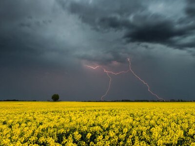 На Закарпатті прогнозують грози та шквали