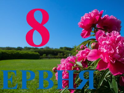 Сьогодні 8 червня 2026: яке свято та день в історії