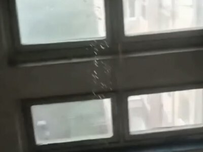 Під час зливи у Житомирі багатоповерховий будинок затопило з 9-го по 1-й поверх. ВІДЕО