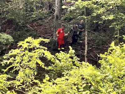 Трагедія на Закарпатті: у горах загинув чоловік через падіння дерева (ФОТО)