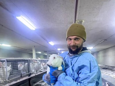 Кролеферма ветерана на Львівщині: успіх після реабілітації