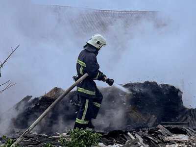 У пожежі в селі Митинці Хмільницького району загинули корова з телям