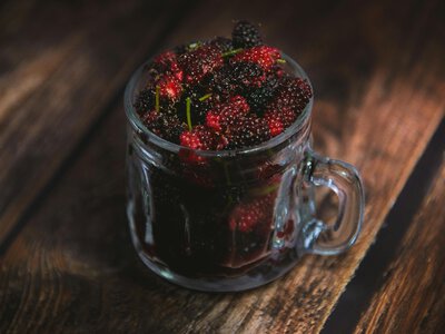 5 способів використати свіжу шовковицю