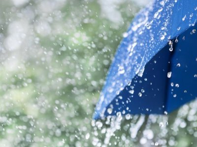 Погода на 9–12 червня: дощі та до 28° тепла на Житомирщині