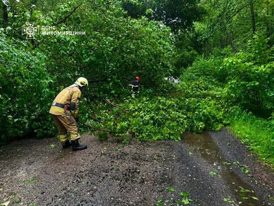 На Житомирщині рятувальники прибрали дерева, повалені сильним вітром