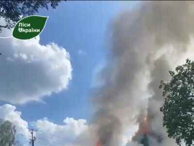 На вихідних лісництво у Шосткинському районі двічі атакували ворожі FPV-дрони