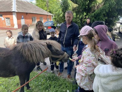 Без ґаджетів та нудьги: де та за скільки у Житомирі можна організувати незабутнє літо для дитини