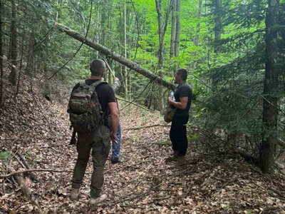 Загубитися в диких Карпатах більше не вдасться! Що за дивні знаки з’явилися на деревах в Ужанському нацпарку