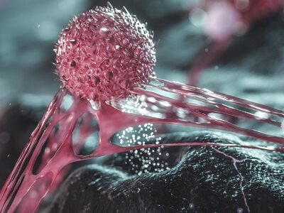  Johnson & Johnson купує Firefly Bio за $1 млрд для розробки нових протиракових препаратів 