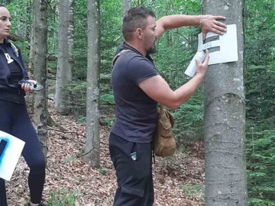 В Ужанському нацпарку оновили туристичний маршрут на гору Голаня (ФОТО)