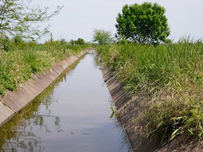 Після підриву Каховської ГЕС: на правобережжі Херсонщини відновлюють зрошення полів