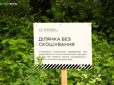 Чому в Києві залишають ділянки без скошування трави: пояснення «Київзеленбуду»