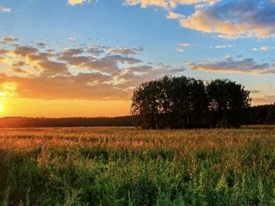 Сьогодні на Буковині прогнозують до 28° тепла