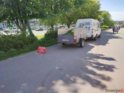 У Кременчуці перевірять покіс трави після скарг на зарості біля будинків