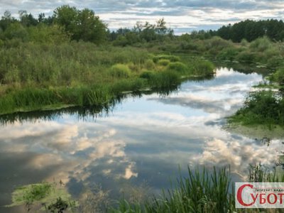 На Житомирщині річка Ірша раптово здивувала різким стрибком води майже на метр