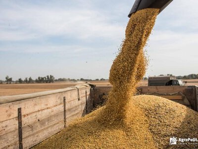 Буковинські підприємства експортують продукцію до 51 країни світу