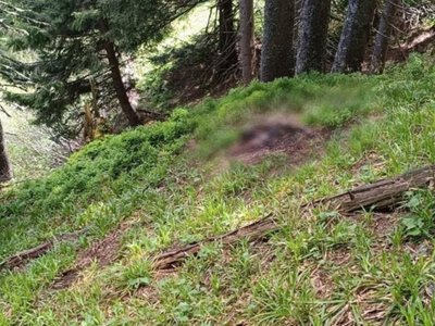 У горах біля кордону з Румунією виявили тіло чоловіка (ФОТО)