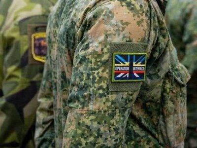 В Минобороны Нидерландов заявили о прекращении участия в британской программе подготовки украинских военных