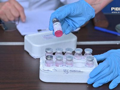 Безкоштовні щеплення від сказу: у Рівному вакцинуватимуть домашніх улюбленців (ВІДЕО)