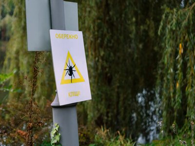 У Кременчуці кілька парків оброблять від кліщів: жителів просять тимчасово не відвідувати зони відпочинку