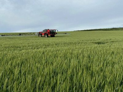 Захист озимої пшениці: Tekom Agro Group завершила фунгіцидні обробки
