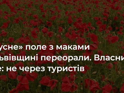 «Вірусне» поле з маками на Львівщині, де фотографувалися люди, переорали. Власник каже: не через туристів