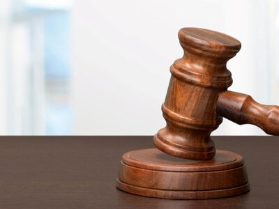 У росіянина конфіскували земельну ділянку на Мукачівщині — PMG.ua