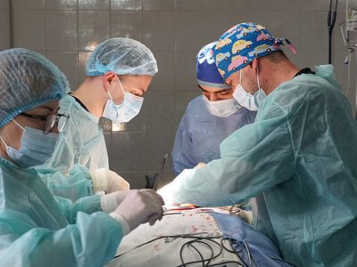 Понад мільйон гривень допомоги отримають важкохворі жителі Мукачівської громади