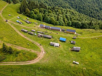 Масштабне дійство у високогір'ї: На Рахівщині відродили легендарну полонину Менчіл та вигнали туди величезне стадо (ФОТО)