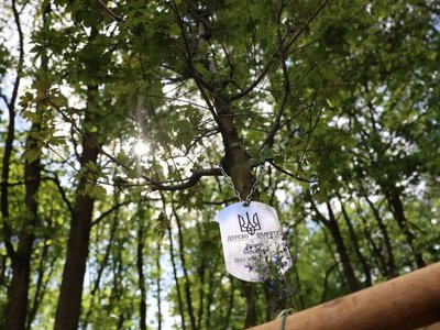 Короткочасні дощі та до +27°: якою буде погода на Львівщині