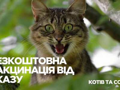 В Івано-Франківську стартує масштабна безкоштовна вакцинація тварин проти сказу