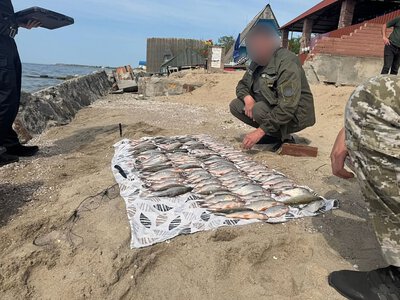 На Миколаївщині браконьєр наловив риби на понад 200 тисяч гривень
