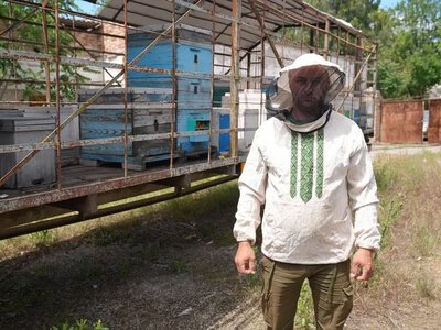 Рапсовий мед: перший урожай на Херсонщині