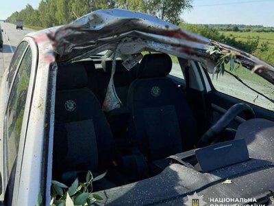 Моторошна ДТП на трасі Коростень-Олевськ: лось загинув, пасажирка в реанімації