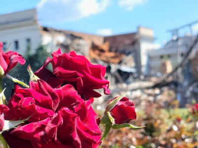 На площі біля зруйнованої будівлі Херсонської ОДА квітнуть сотні троянд (фото)