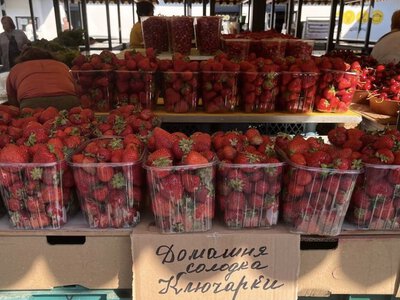 На Закарпатті закінчується сезон полуниці, але ціна не падає