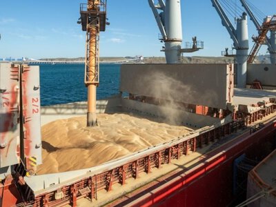 Аграрії попередили про загрозу зриву експорту зерна через атаки на порти Одещини