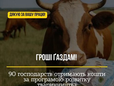 90 господарств громади отримають виплати: у Франківську підтримають власників корів, кіз, коней і пасік