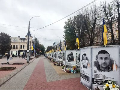 Зрізані дерева на Проскурівській: коли насправді зникли каштани та чому хмельничани повірили у «свіжу зраду»