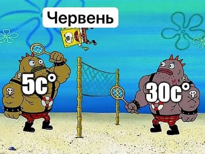 Одеський гумор: про червневу погоду і найкращий засіб від безсоння