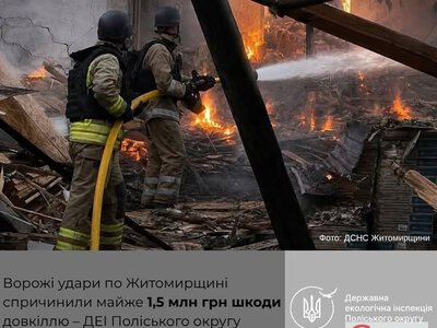 Мільйонні збитки екології Полісся: через весняні обстріли Житомирщини в повітря злетіли тонни токсичних речовин