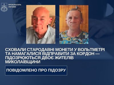 Стародавні монети заховали у вольтметрі для вивезення за кордон: двом жителям Миколаївщини повідомили про підозру