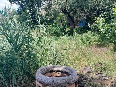 Порятунок єдиного озера у Миколаєві: стартували роботи з ліквідації забруднення (фото)