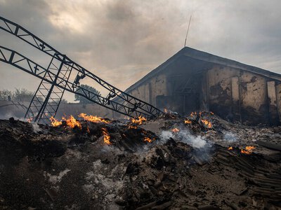 Російські удари завдали агросектору України понад $11 млрд прямих збитків — Bloomberg
