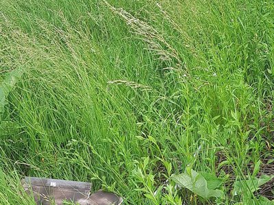 На Сумщині прикордонники 5 прикордонного загону знищили майже чотири десятка російських БпЛА