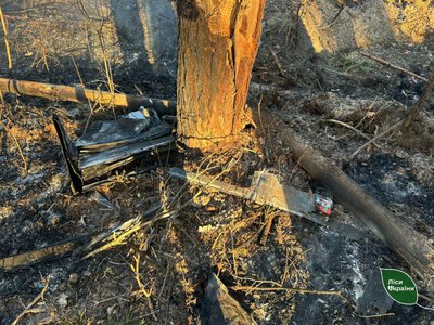 Понад чверть лісового фонду Сумщини забруднено вибухонебезпечними предметами