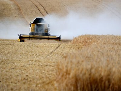 Атаки РФ завдали аграріям мільярдних збитків: названо суму втрат