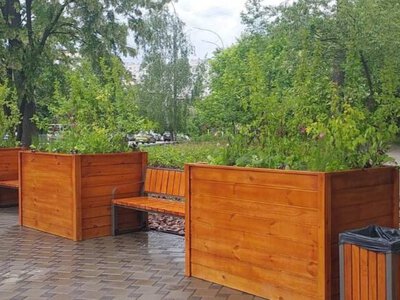 У різних районах Києва облаштували 6 кишенькових скверів: до кінця року планують створити ще 4 локації